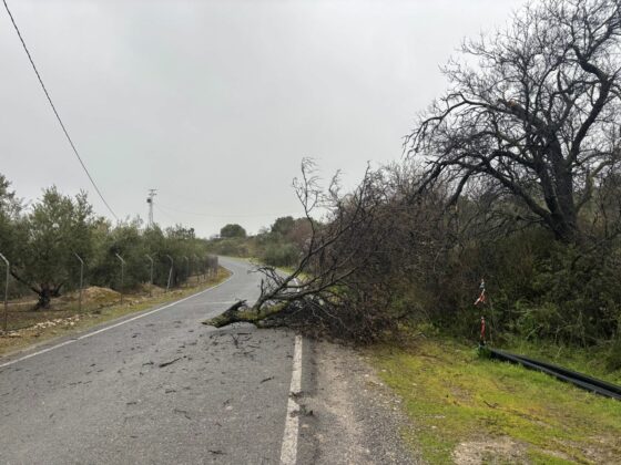 622729318 776181425505968 2427284547013998151 n