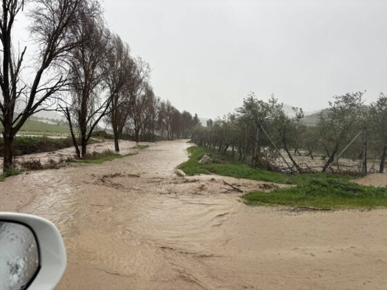 623478077 776181532172624 1199132882419973352 n