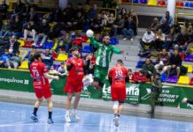 El BM Dólmenes Antequera de corona en el derbi andaluz (30-24)