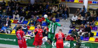 El BM Dólmenes Antequera de corona en el derbi andaluz (30-24)