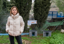 Archidona regula sus colonias felinas y refuerza el control de limpieza en la vía pública