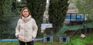 Archidona regula sus colonias felinas y refuerza el control de limpieza en la vía pública