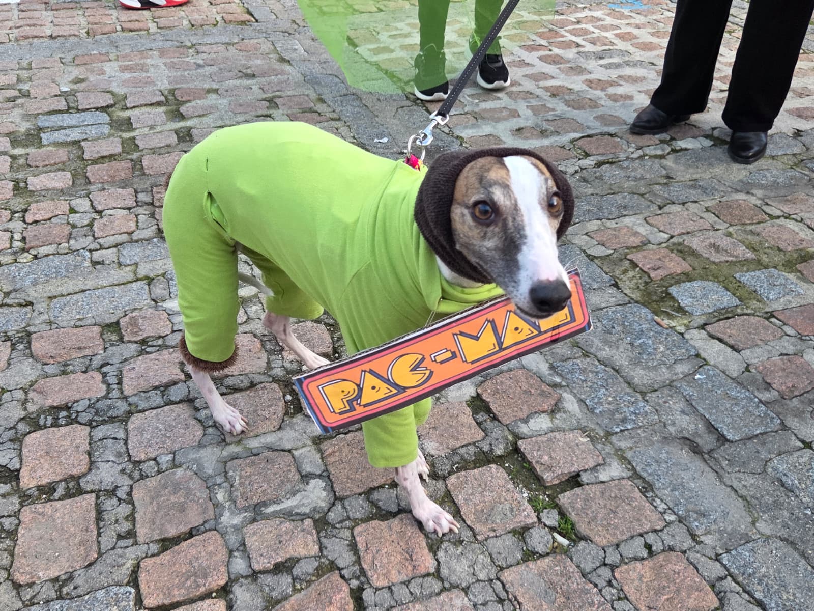 WhatsApp Image 2026 01 02 at 11.18.16 1