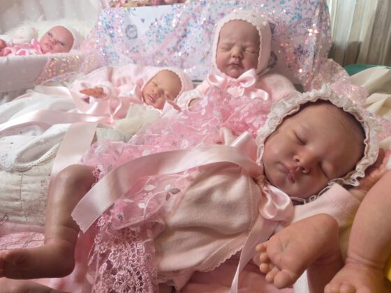 WhatsApp Image 2026 01 02 at 13.11.36