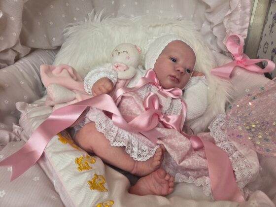 WhatsApp Image 2026 01 02 at 13.11.38 3