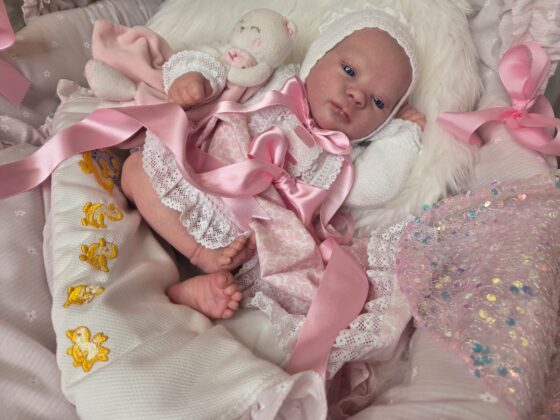 WhatsApp Image 2026 01 02 at 13.11.38