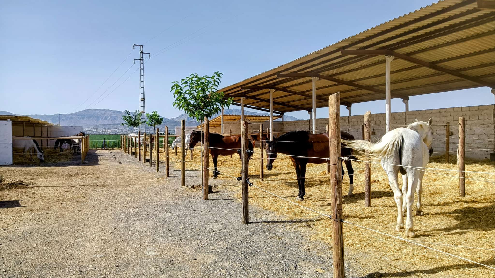 WhatsApp Image 2026 01 09 at 10.18.49