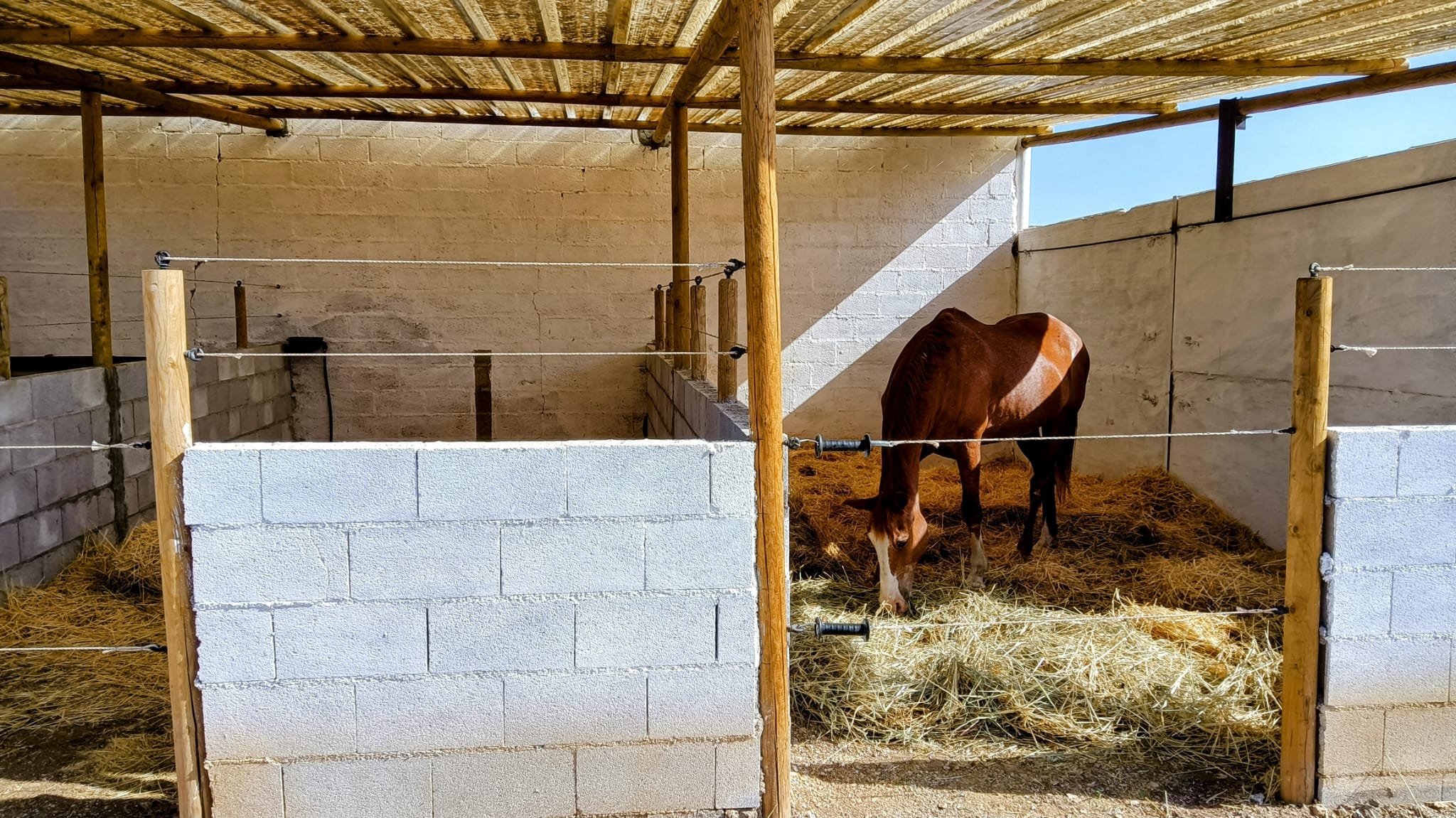 WhatsApp Image 2026 01 09 at 10.18.50