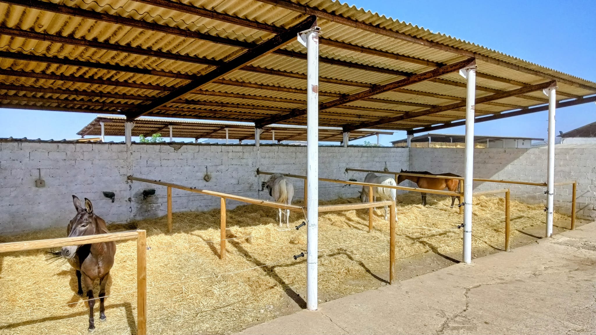 WhatsApp Image 2026 01 09 at 10.18.51