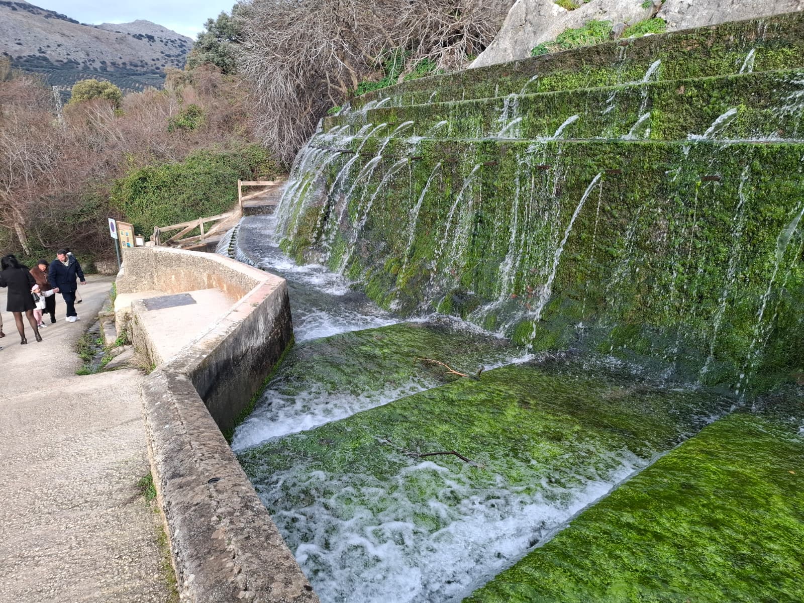 WhatsApp Image 2026 01 16 at 10.21.46 3