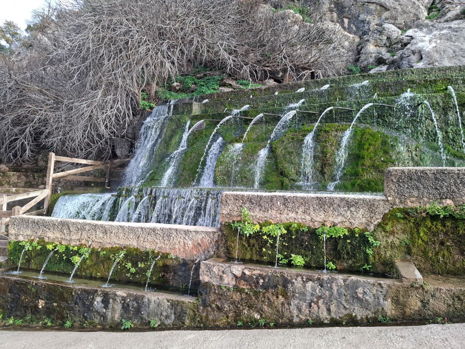 WhatsApp Image 2026 01 16 at 10.21.46