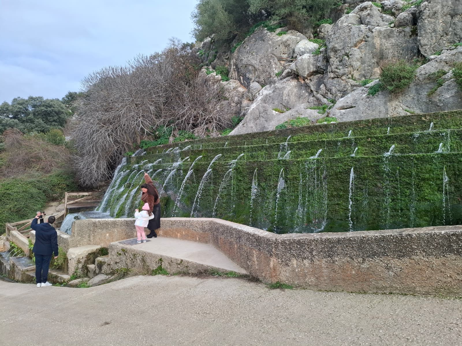 WhatsApp Image 2026 01 16 at 10.21.47 2