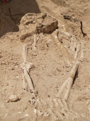 thumbnail Lamina 02 Tumba 1