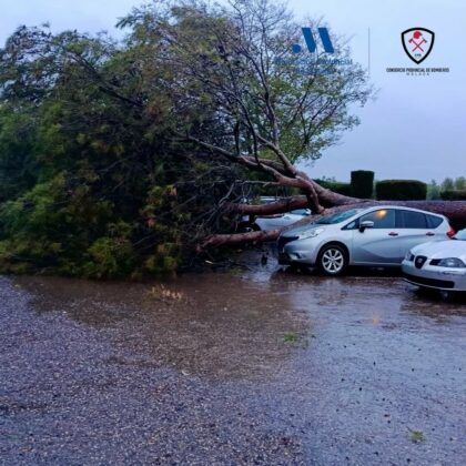 624873133 18401601418132513 4704344165973930841 n