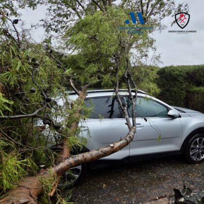 625042107 18401601430132513 5568318116994506363 n