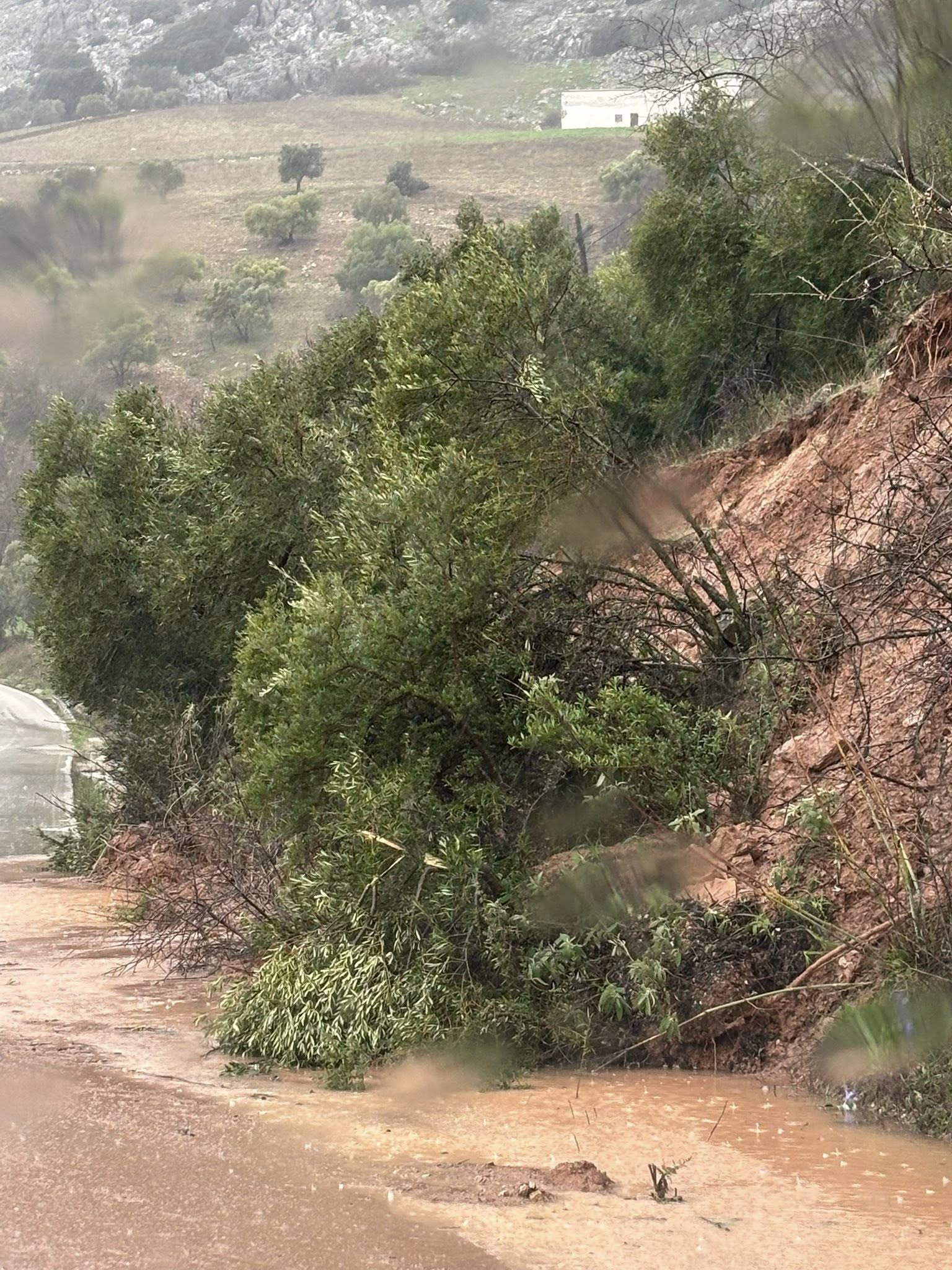 626067689 781793728278071 23845055035810301 n