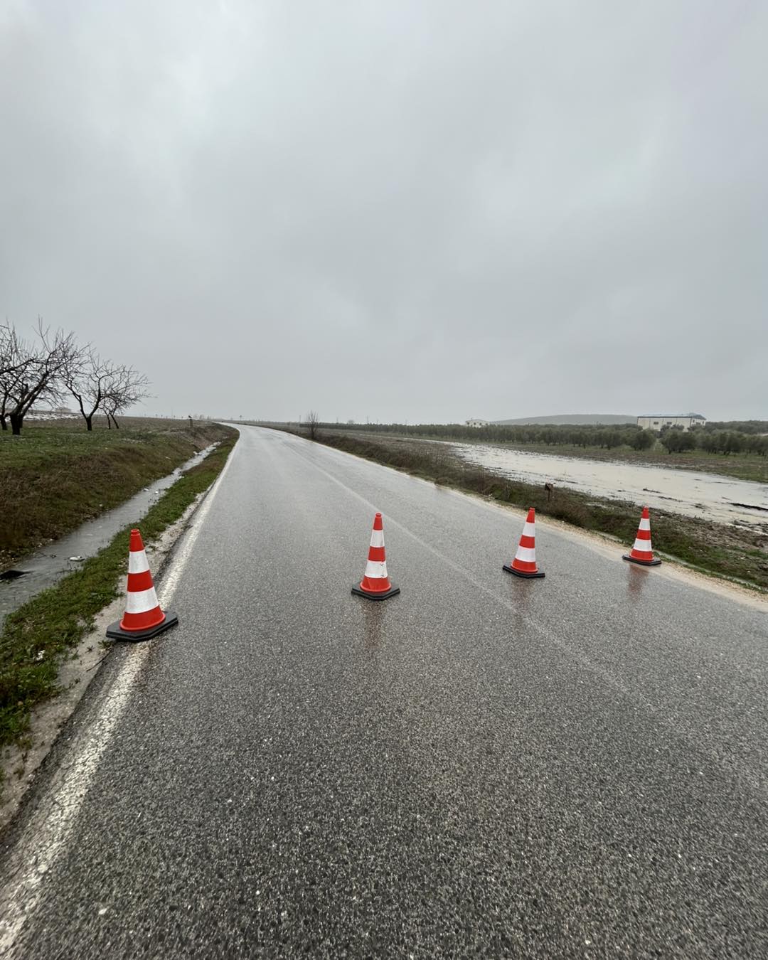 626775379 1202557655386507 5953565506938580378 n