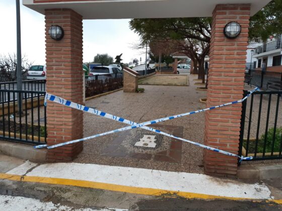 627016420 774372875709289 8747429150112398112 n