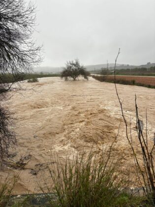 627313214 895438560109573 5434863844009256738 n