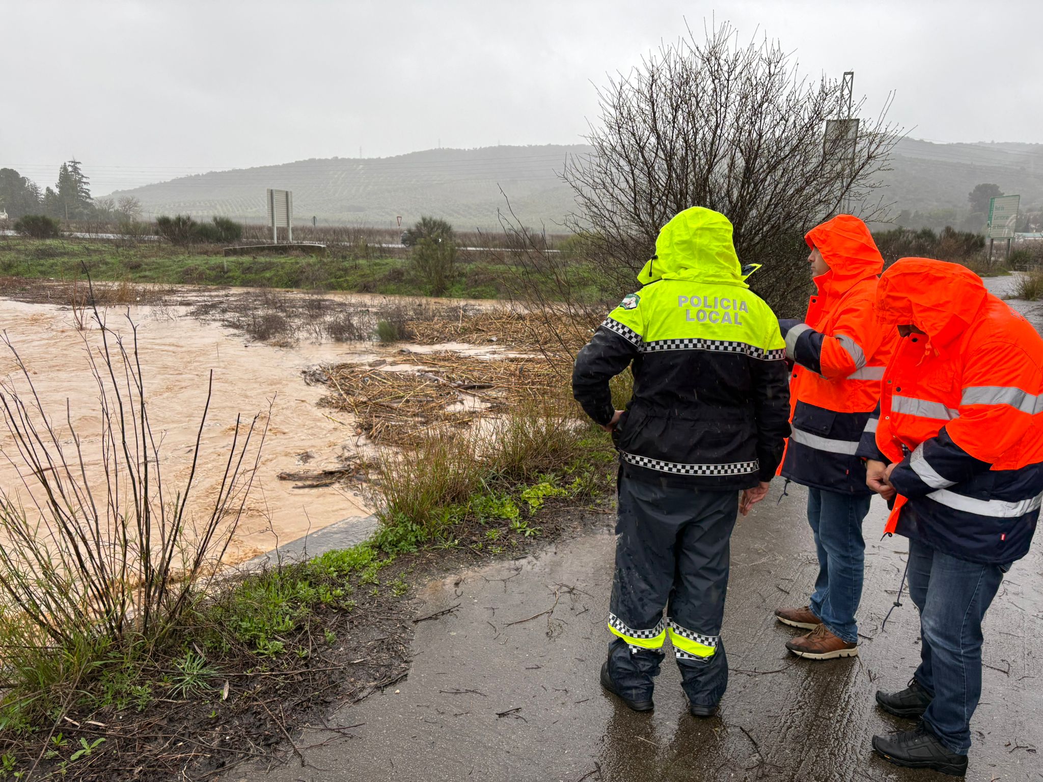 627490194 895438663442896 3891534829389381460 n 1