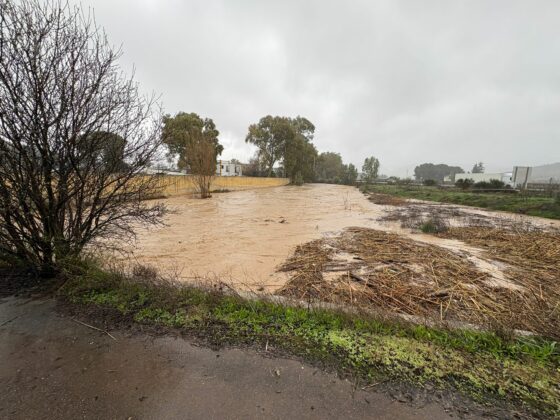 627678496 895438563442906 252110615684327710 n