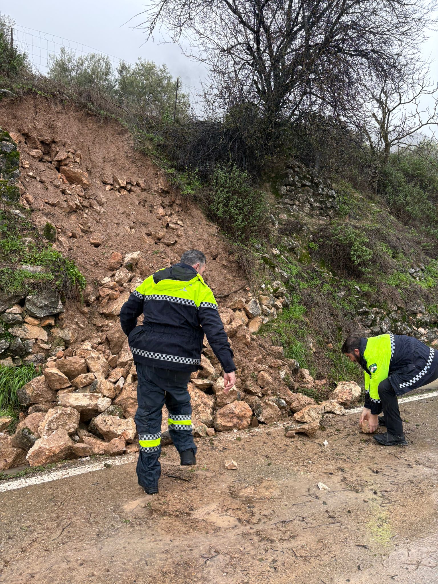 627694003 895438616776234 7013124090712170917 n