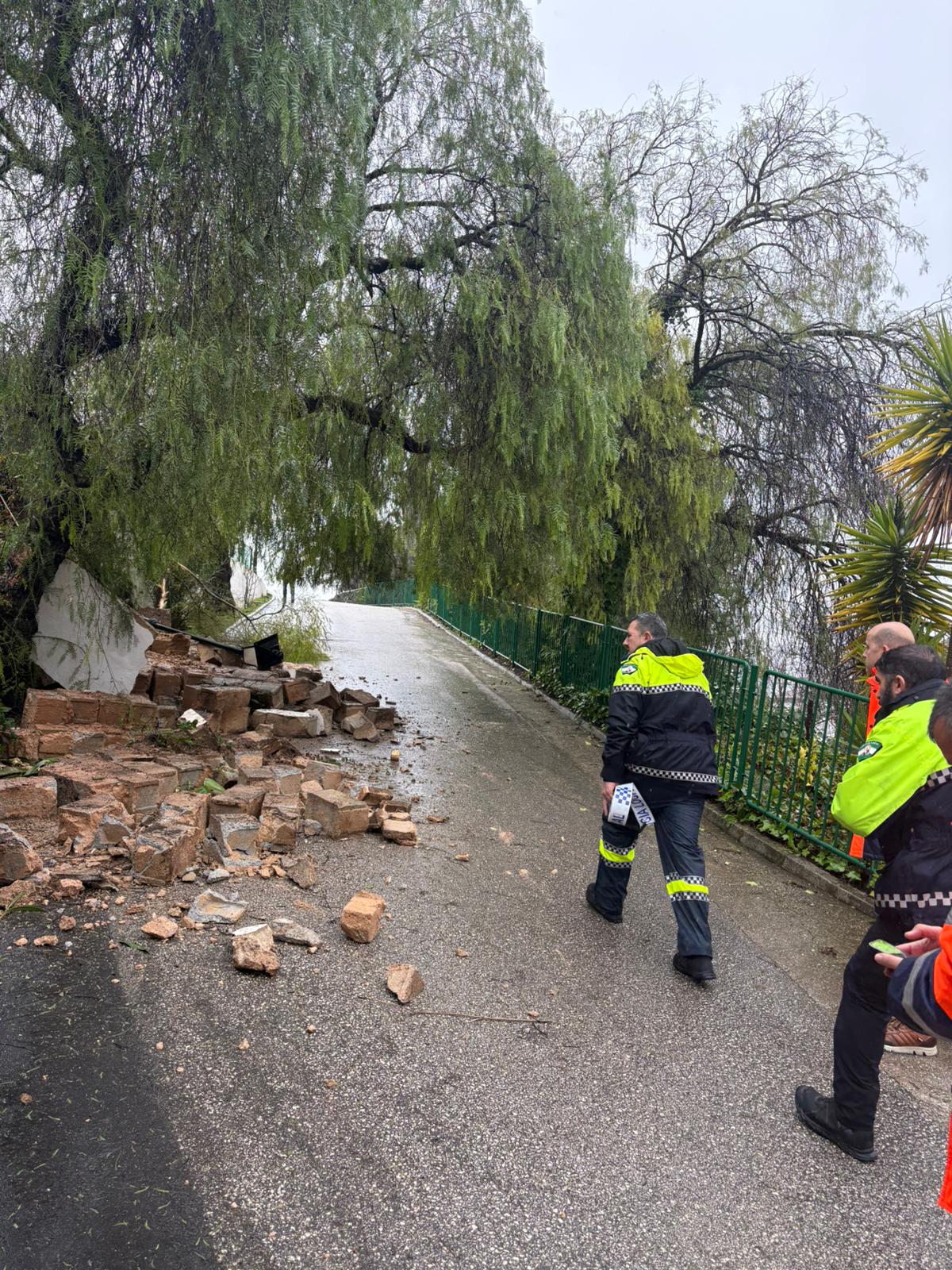 627856003 895477480105681 8702094938543906196 n