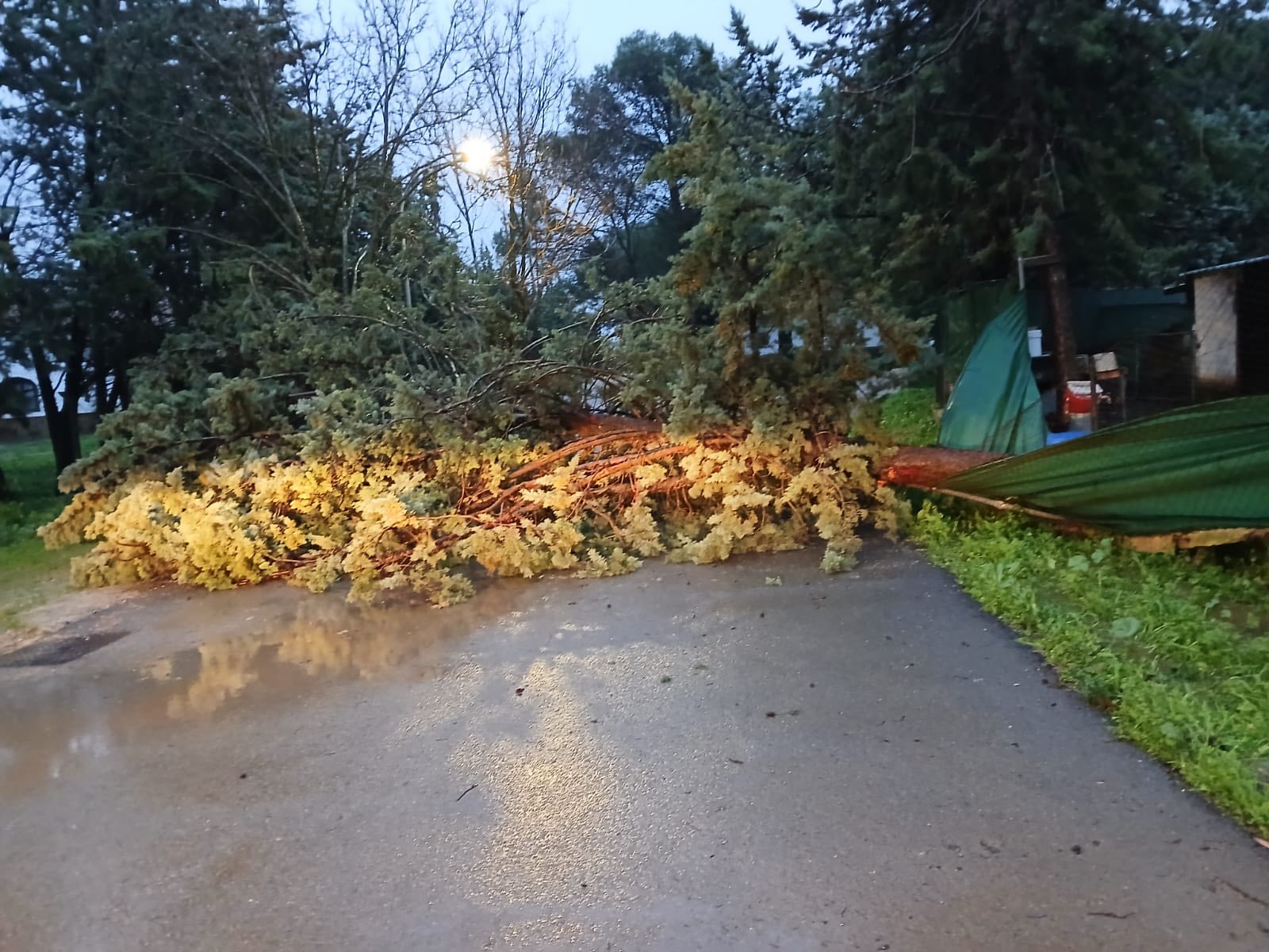 628021048 1348550730644810 6152835410580658500 n