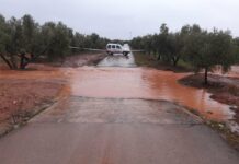Consulta en tiempo real las carreteras cortadas en Antequera y comarca por la borrasca Leonardo