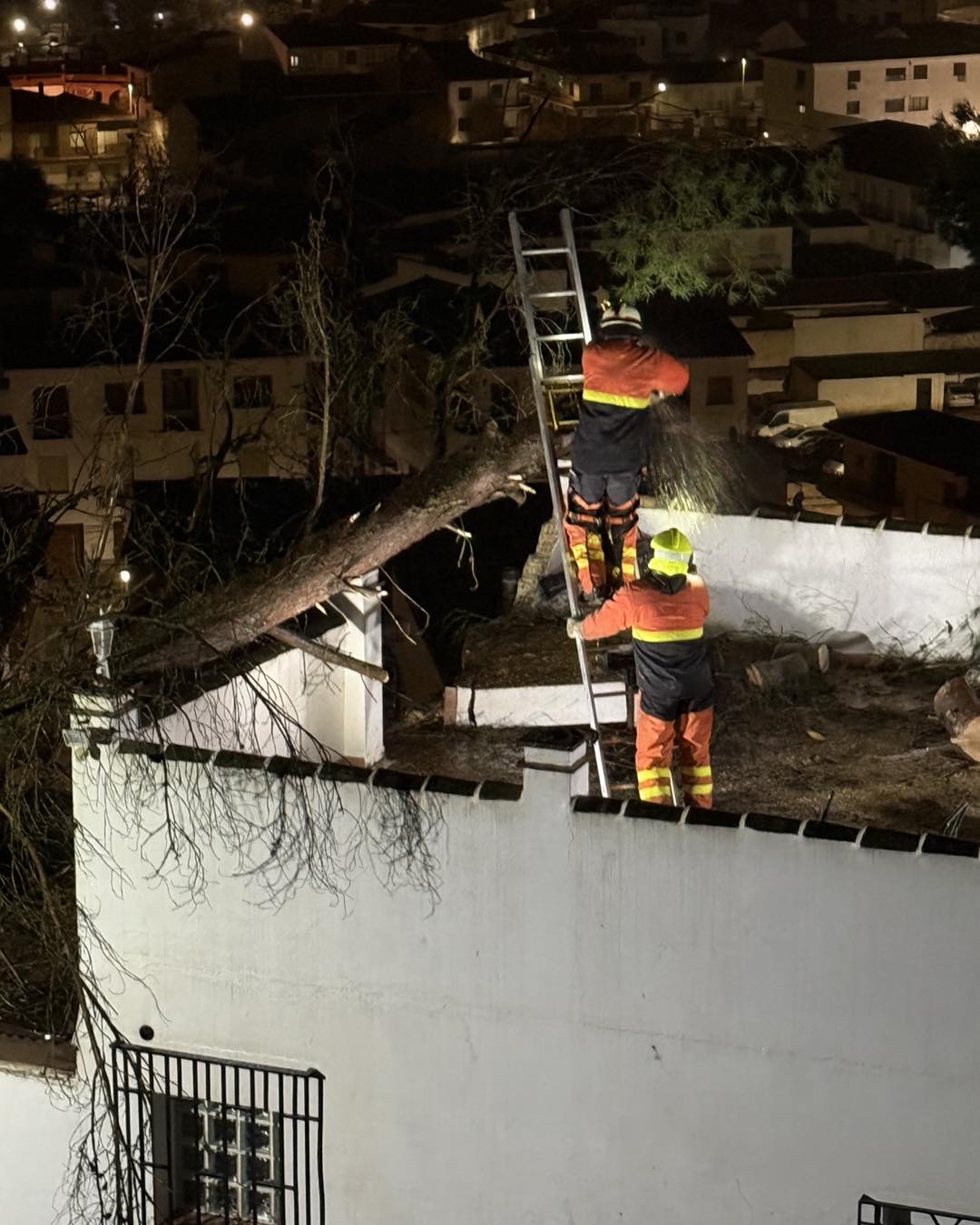 628458631 1208058871503052 9066008616878714401 n