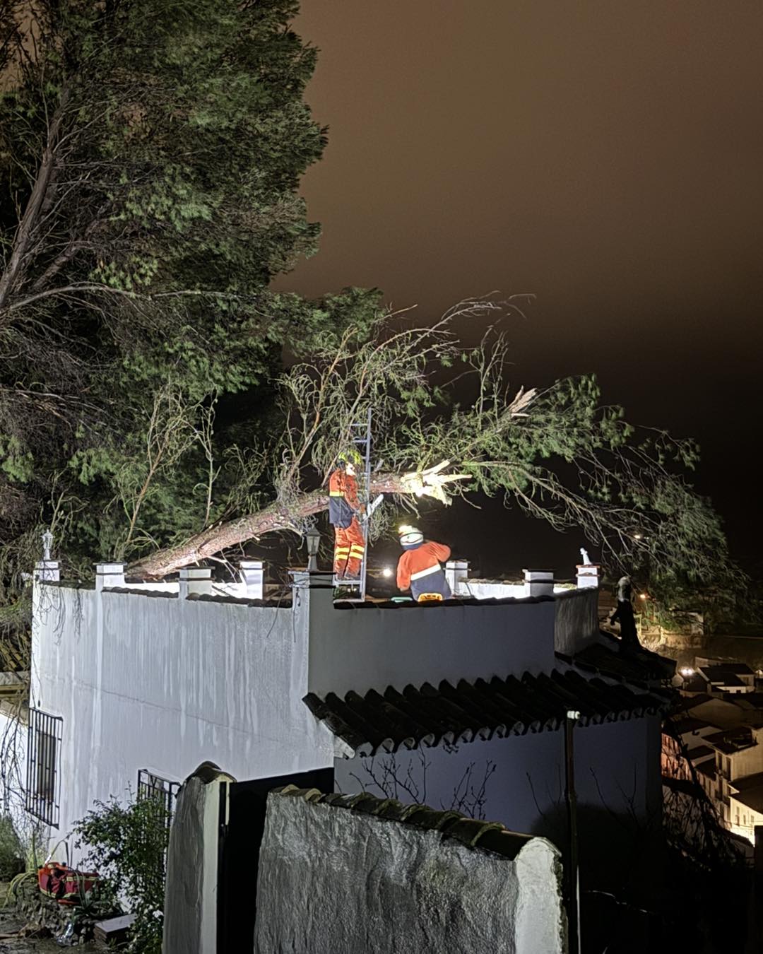 629203502 1208058878169718 6200426193483747754 n