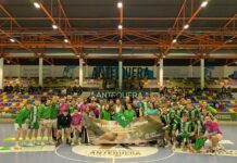 El Dólmenes Antequera cae en casa y pone fin a su racha de victorias (28-29)