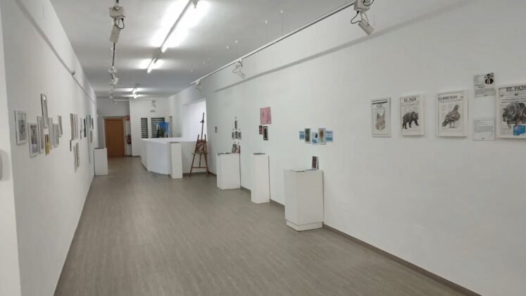 641134652 18040745210755826 4365799169598139633 n