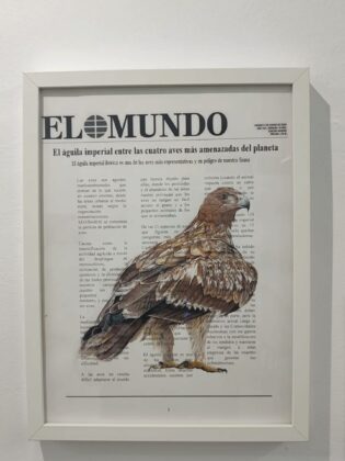 641619980 18040745297755826 5276135289273874606 n