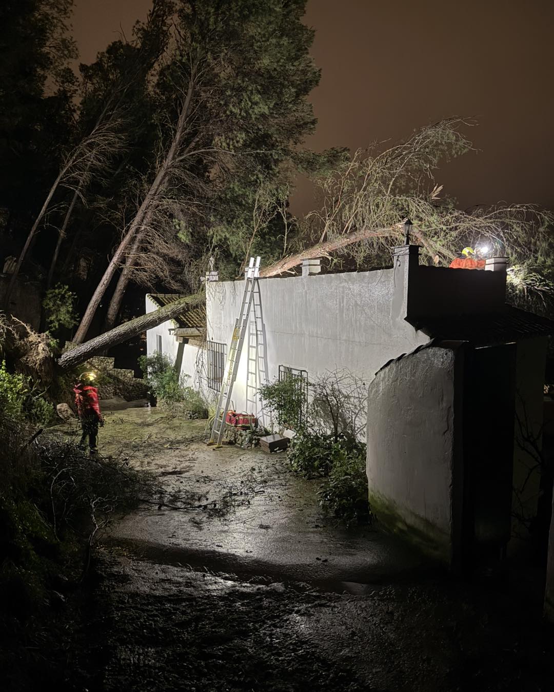 COMARCA Un pino se desploma sobre una vivienda en el barrio de Los Villares de Villanueva del Trabuco