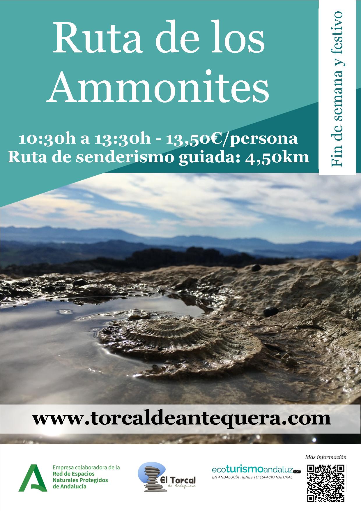 Ruta de los ammonites