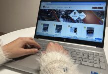 De los cupones online a los cheques regalo por San Valentín: El plan de la ACIA para repartir premios este febrero en Antequera