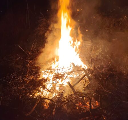 WhatsApp Image 2026 02 03 at 12.38.17 e1770118737284