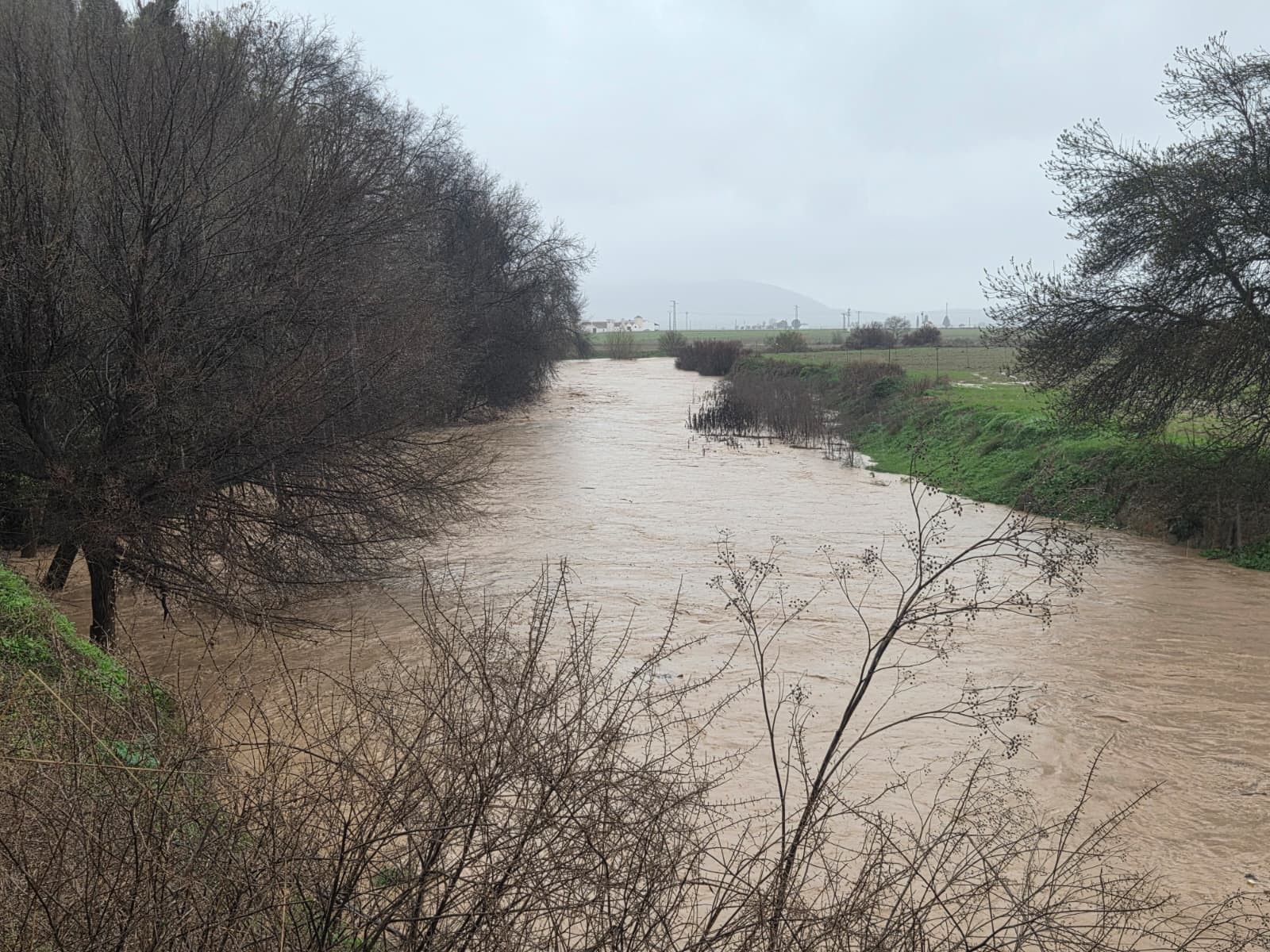 WhatsApp Image 2026 02 04 at 09.51.25