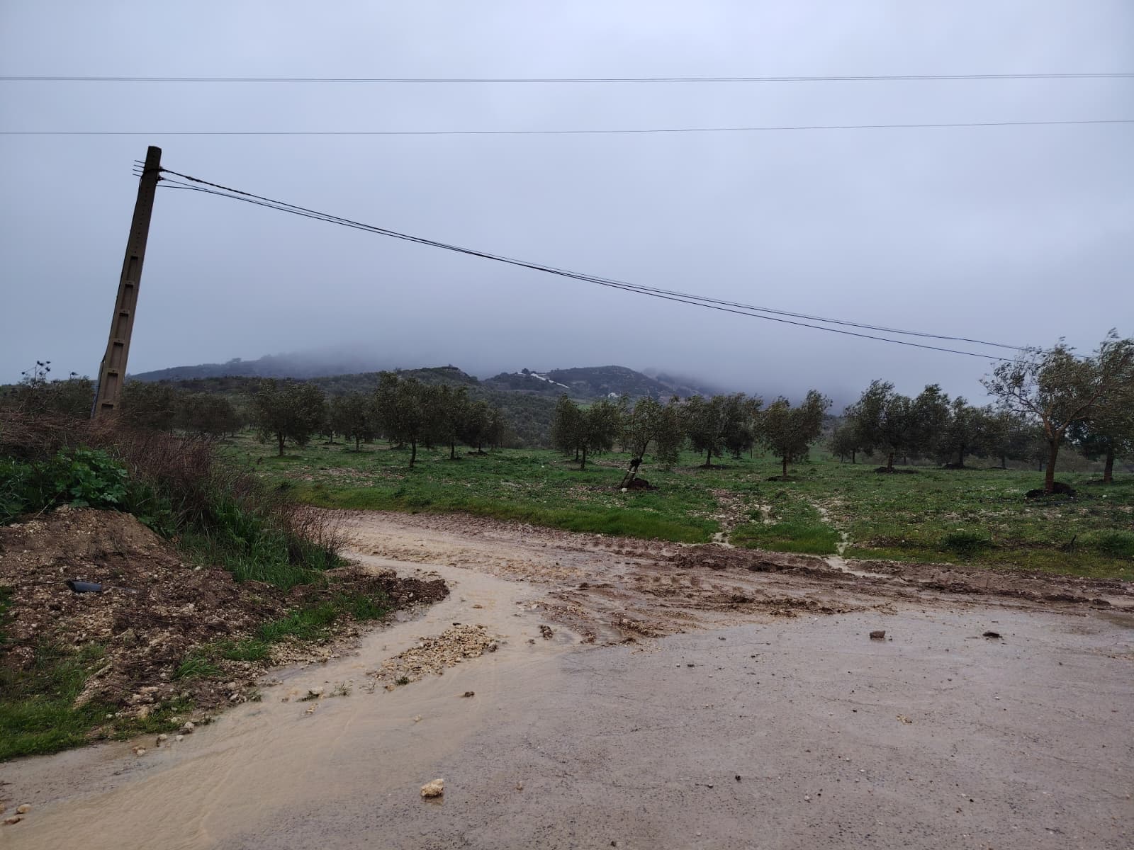 WhatsApp Image 2026 02 04 at 09.55.16