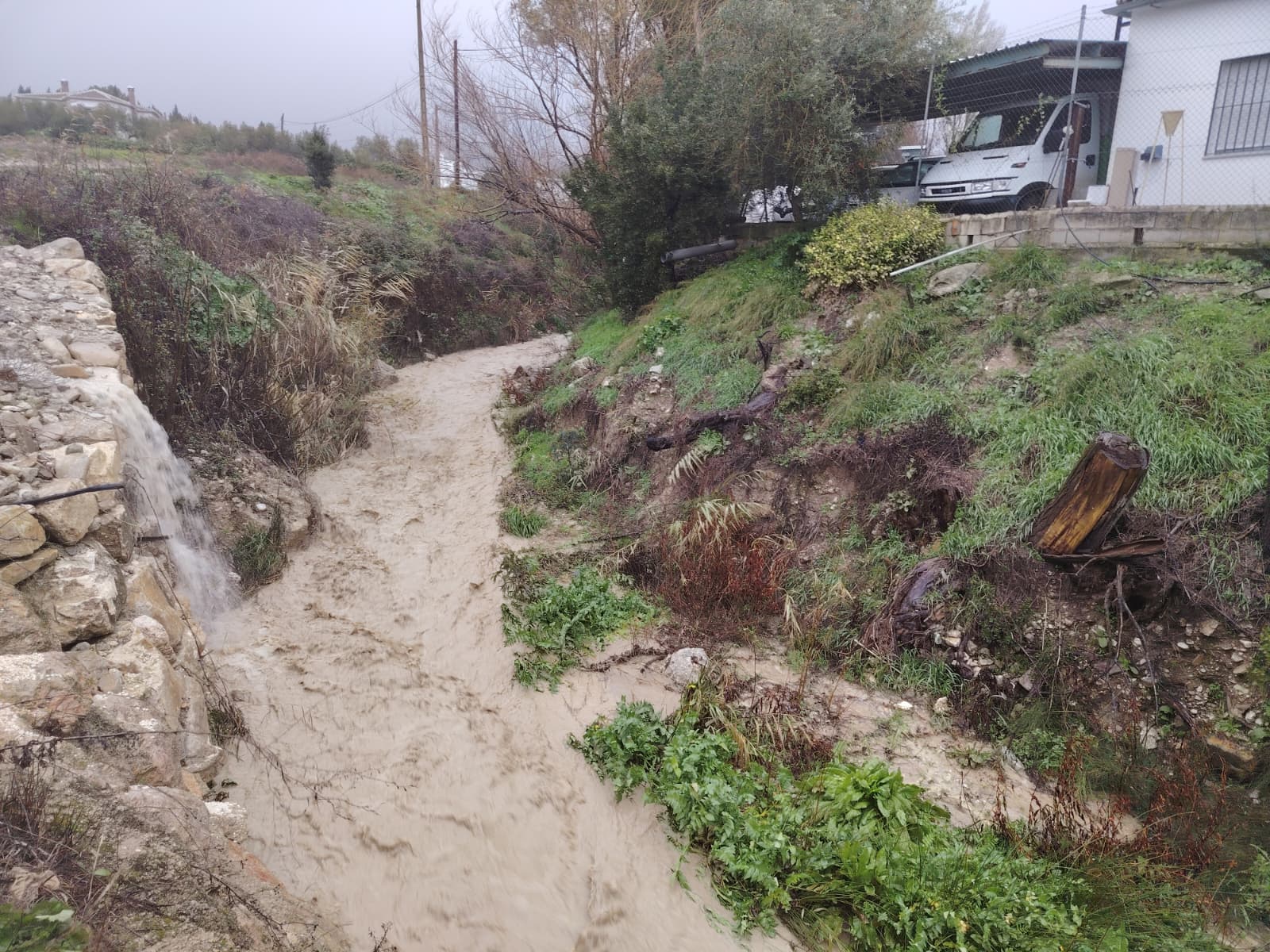 WhatsApp Image 2026 02 04 at 09.56.02