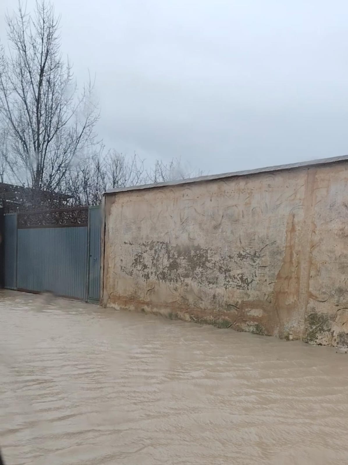 WhatsApp Image 2026 02 04 at 09.56.42