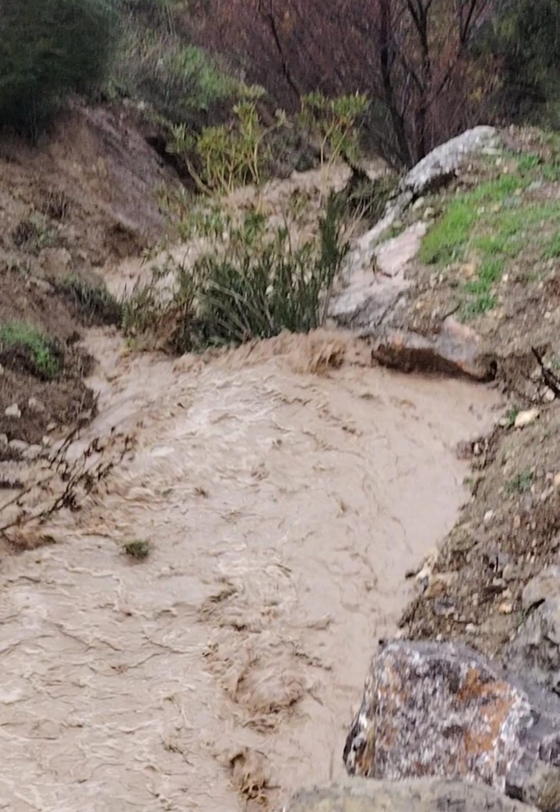 WhatsApp Image 2026 02 04 at 09.57.26