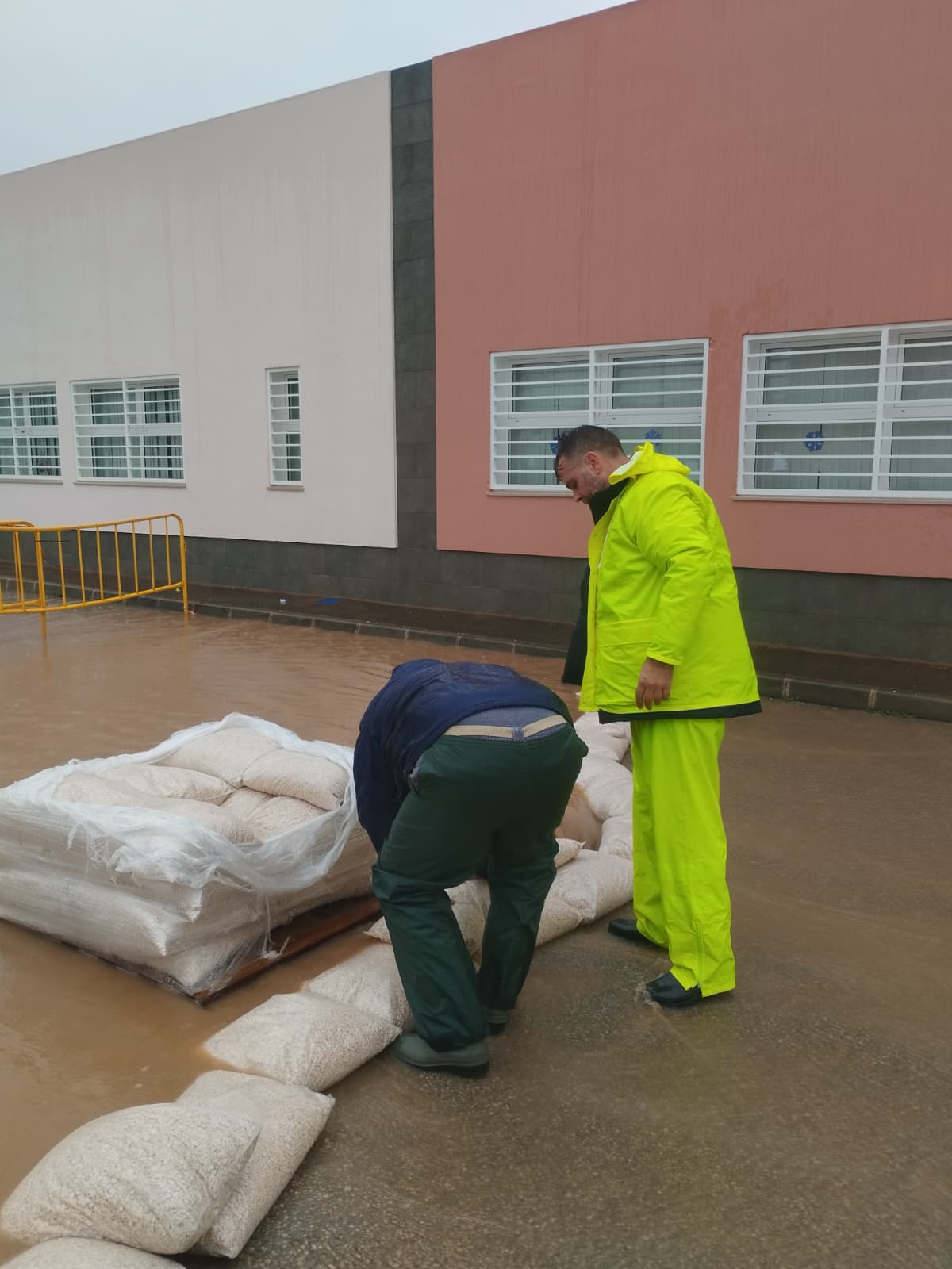 WhatsApp Image 2026 02 04 at 10.48.41 1