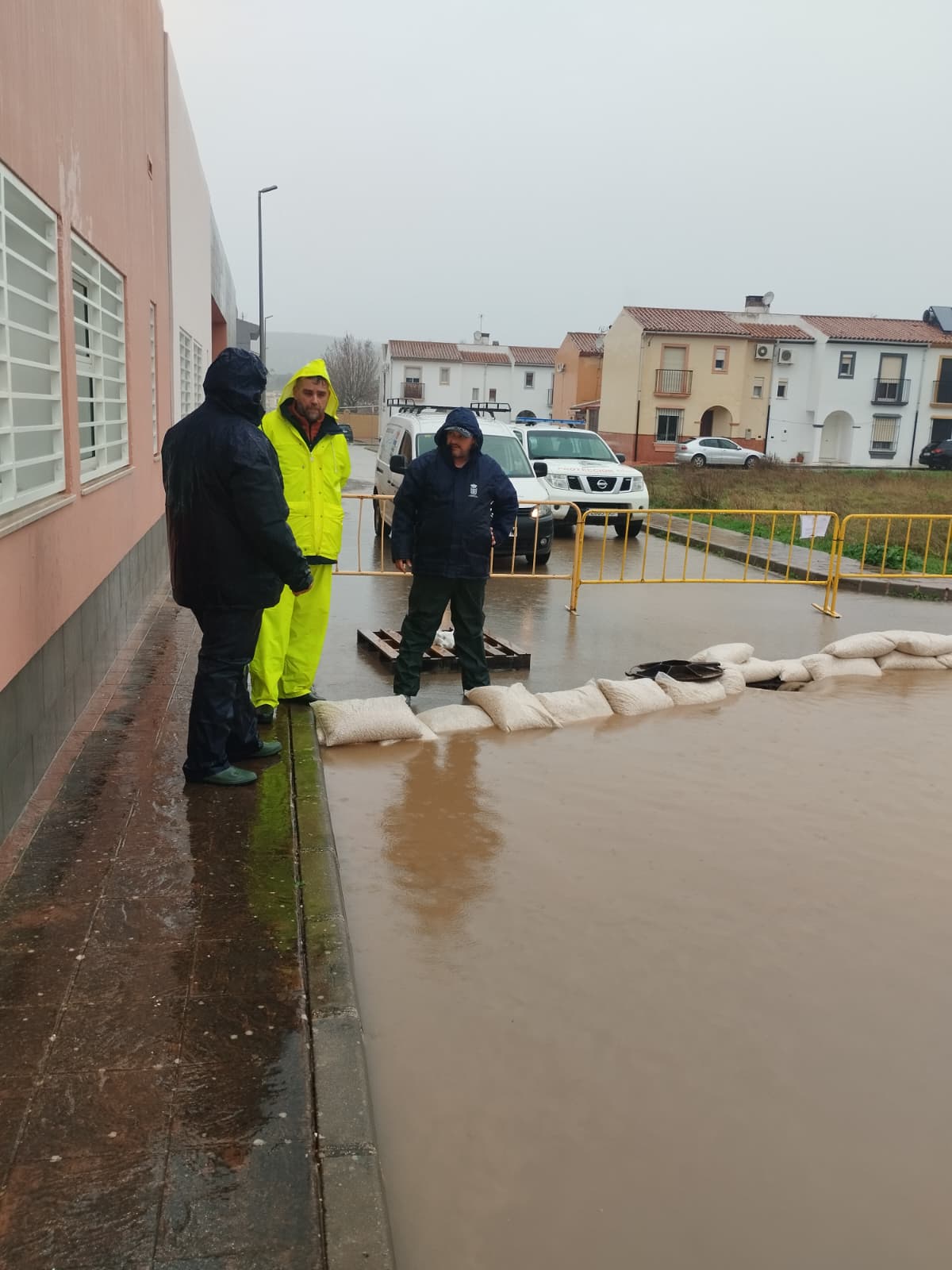 WhatsApp Image 2026 02 04 at 10.48.42 1