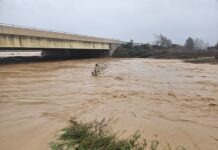 El río Guadalhorce alcanza ya su nivel máximo histórico en Bobadilla con más de seis metros de altura