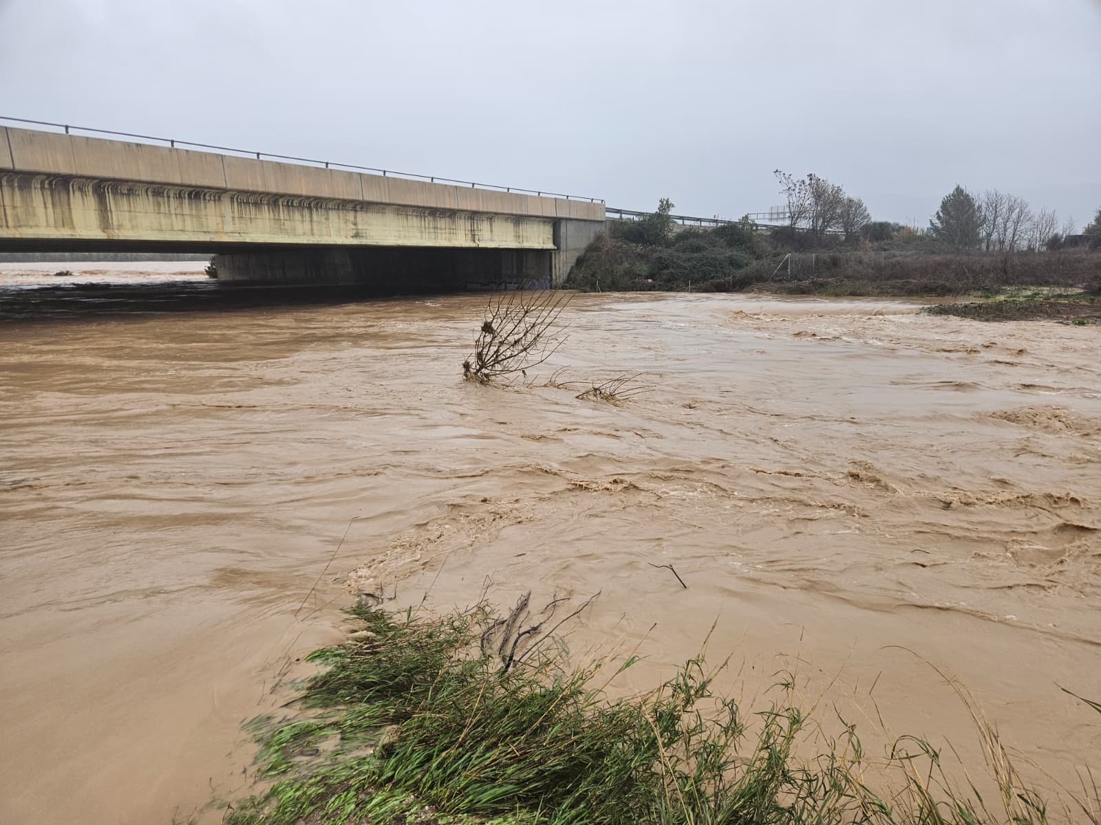 WhatsApp Image 2026 02 04 at 15.38.11