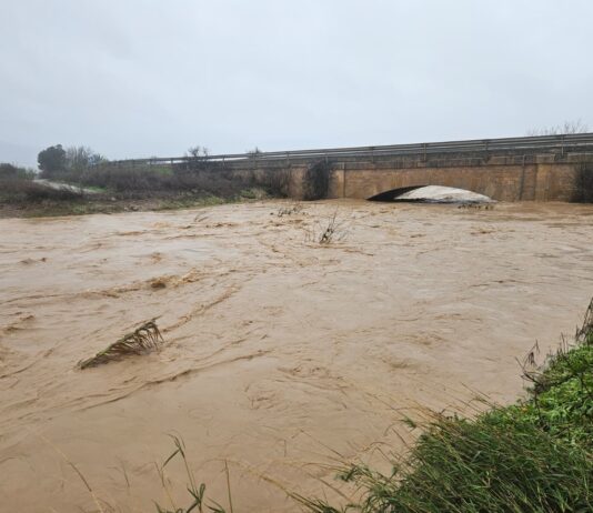 El paso de la borrasca Leonardo en la comarca de Antequera, en imágenes