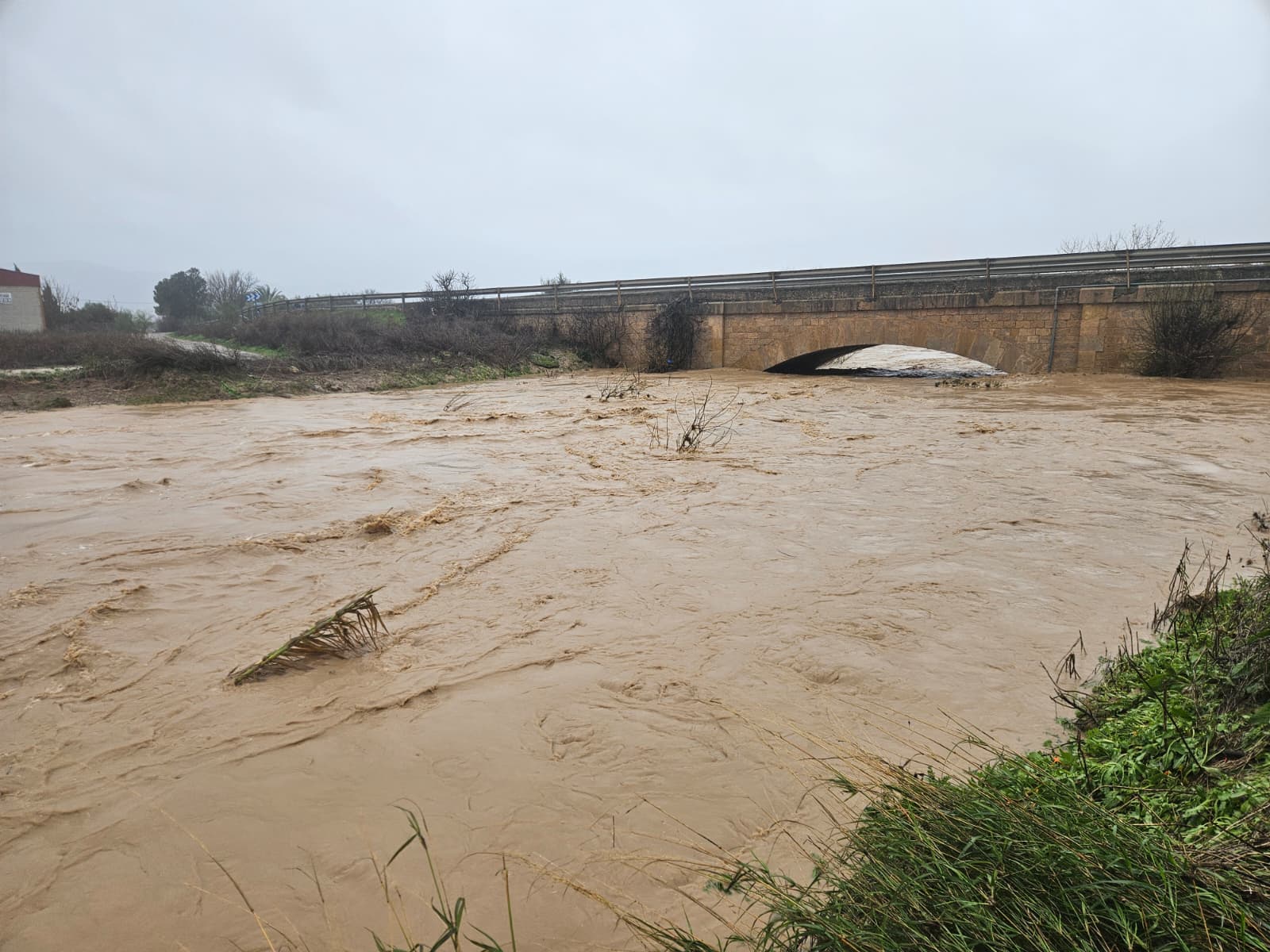 WhatsApp Image 2026 02 04 at 15.38.14