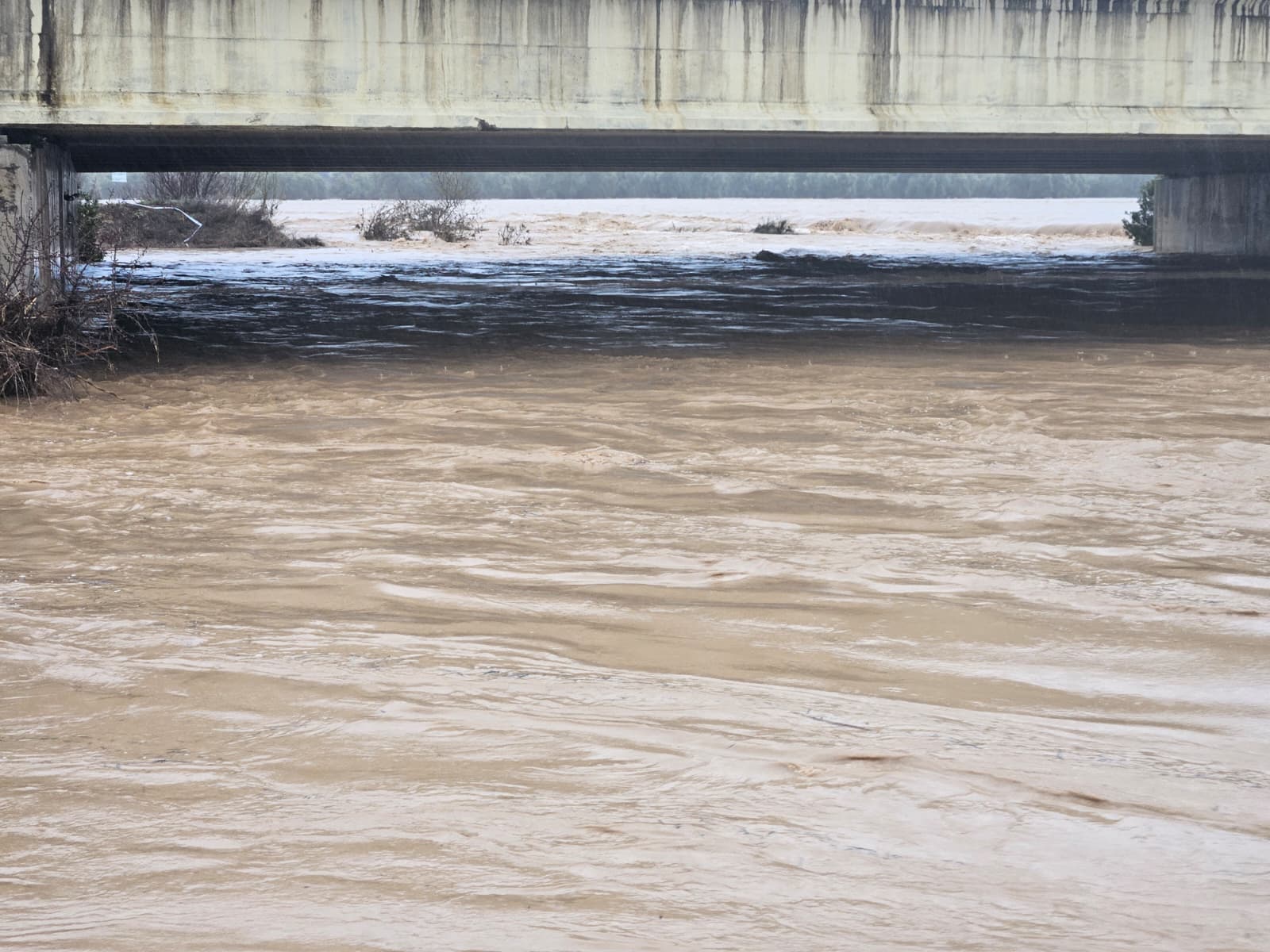 WhatsApp Image 2026 02 04 at 15.38.15